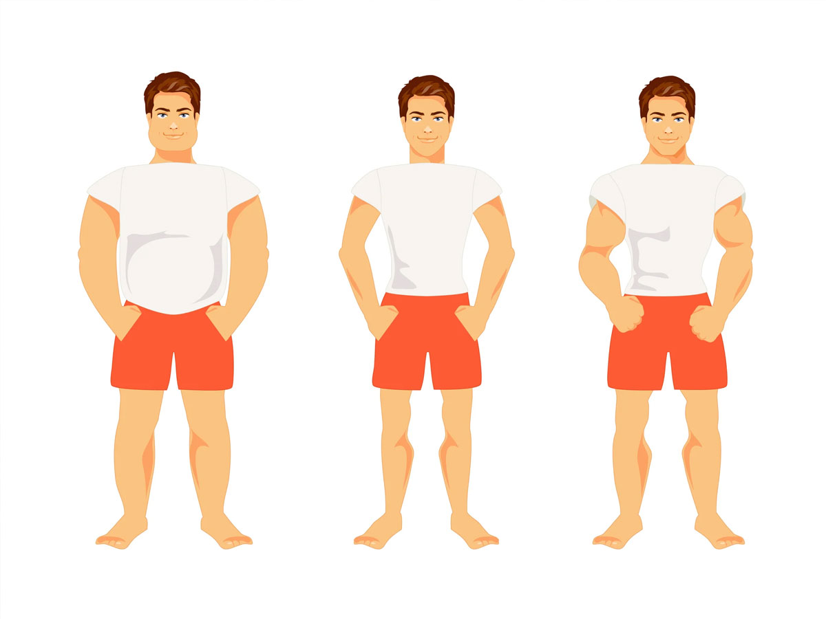 انواع تیپ‌های بدنی